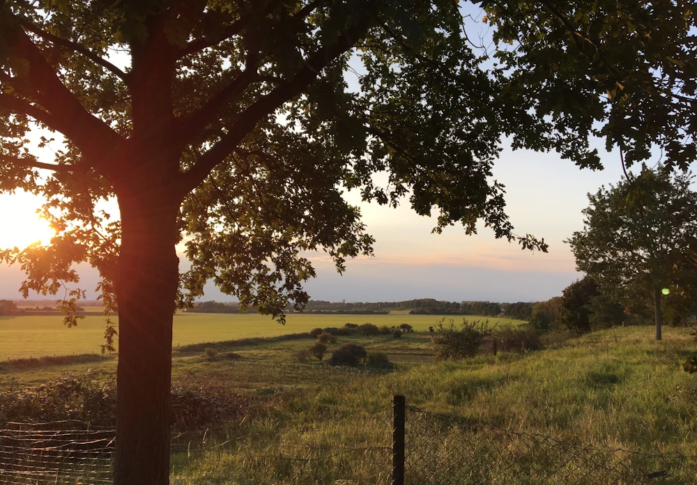 Blick in die Natur mit Sonnenuntergang