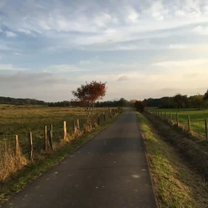 Spaziergang für Hochsensible